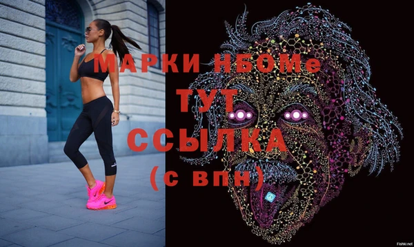 СК Великий Новгород
