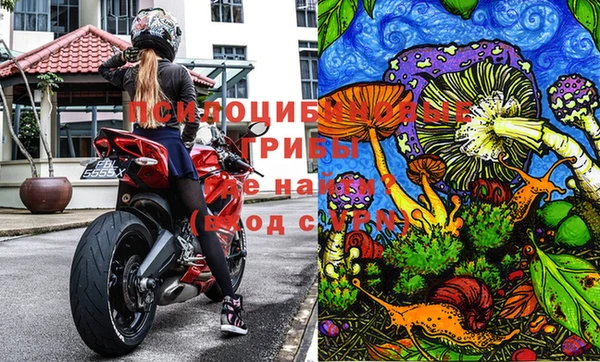 крисы Алексин